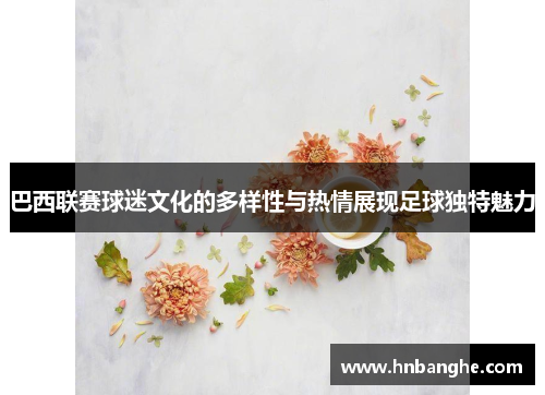 巴西联赛球迷文化的多样性与热情展现足球独特魅力