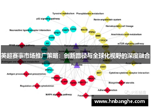英超赛事市场推广策略:创新路径与全球化视野的深度融合